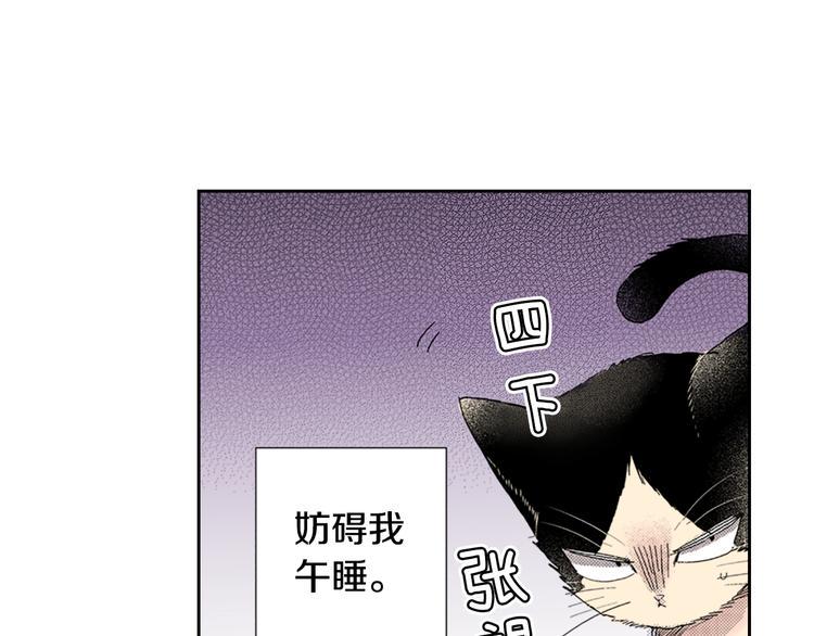 第9话 主人的地位5