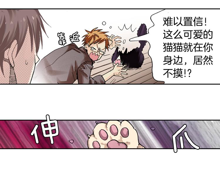 第7话 上门撸猫！59