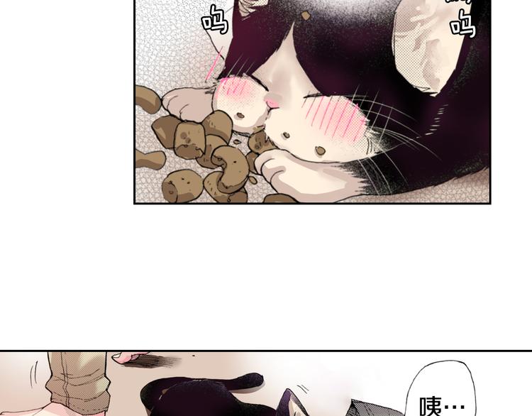 第6话 喵~我要吃饭饭64
