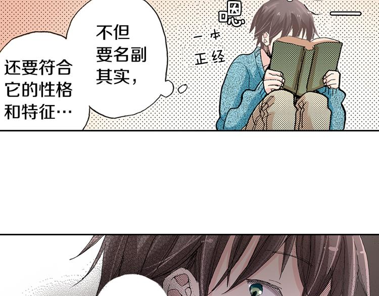 第5话 月亮和太阳20