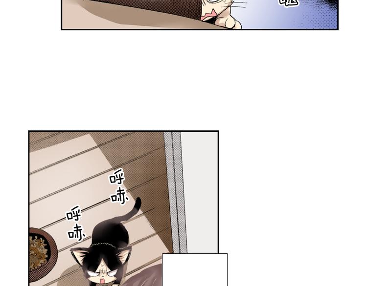 第3话 命运的邂逅？42