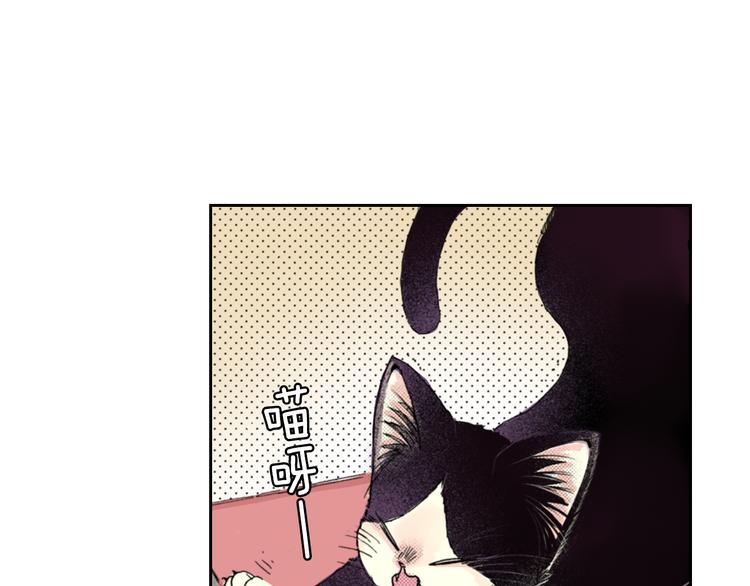 第7话 上门撸猫！26