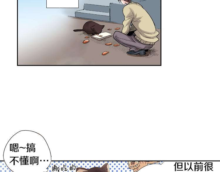 第3话 命运的邂逅？14