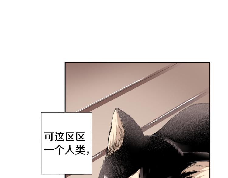 第3话 命运的邂逅？79