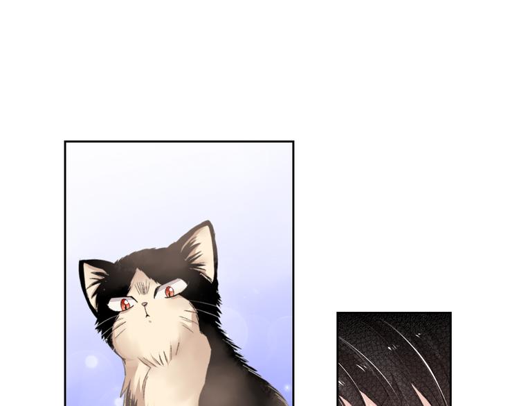 第2话 被猫咪担心了35