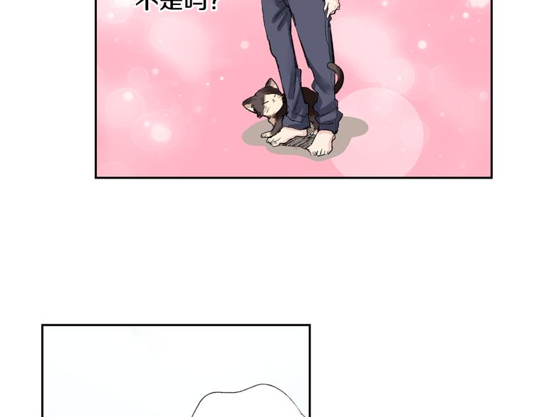 第2话 被猫咪担心了76