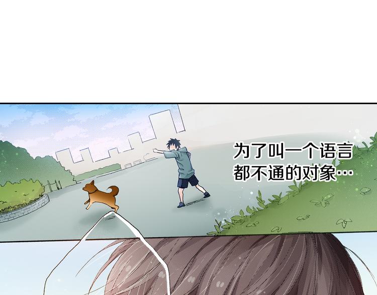 第4话 给猫咪起名92