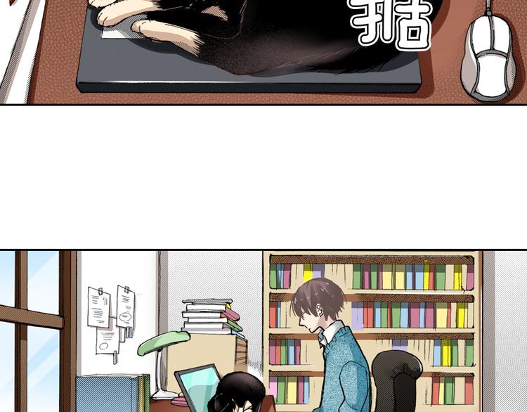第4话 给猫咪起名7