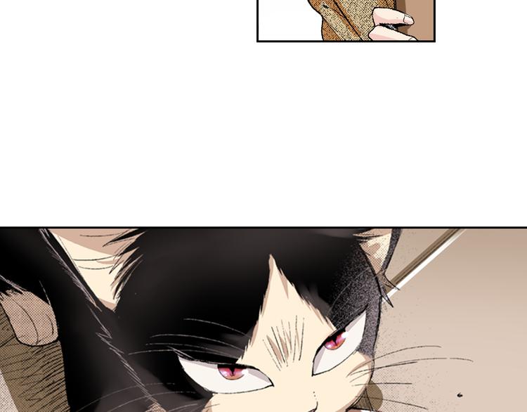 第2话 被猫咪担心了25