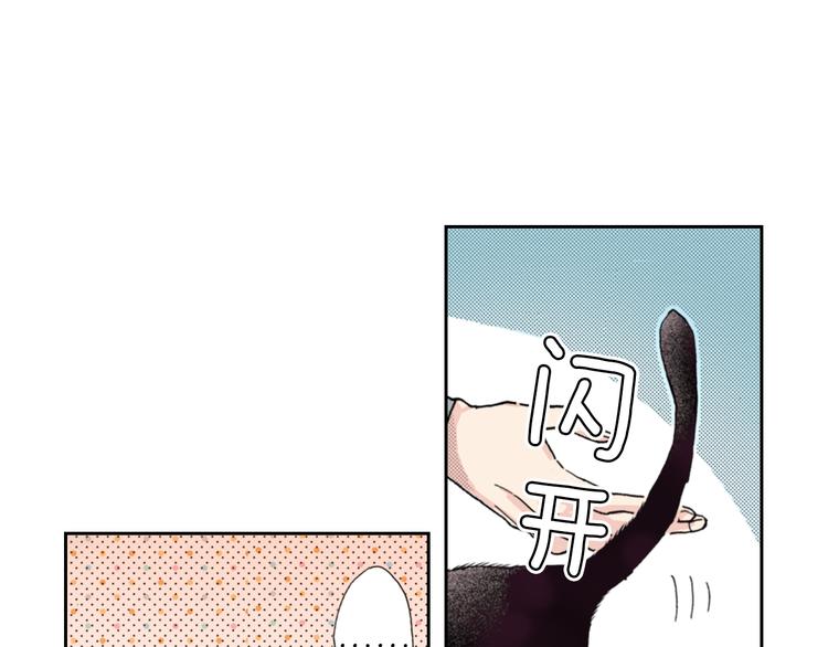 第8话 猫咪摸起来好舒服73