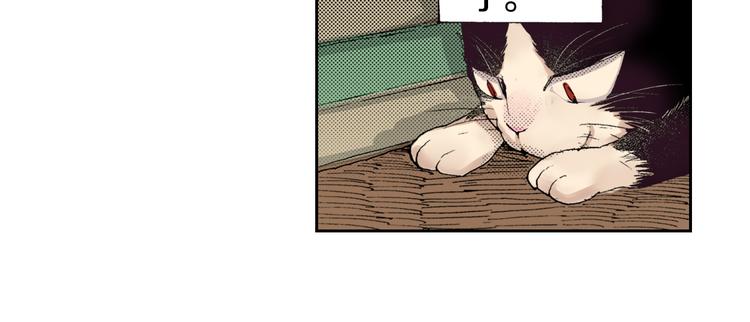 第6话 喵~我要吃饭饭18