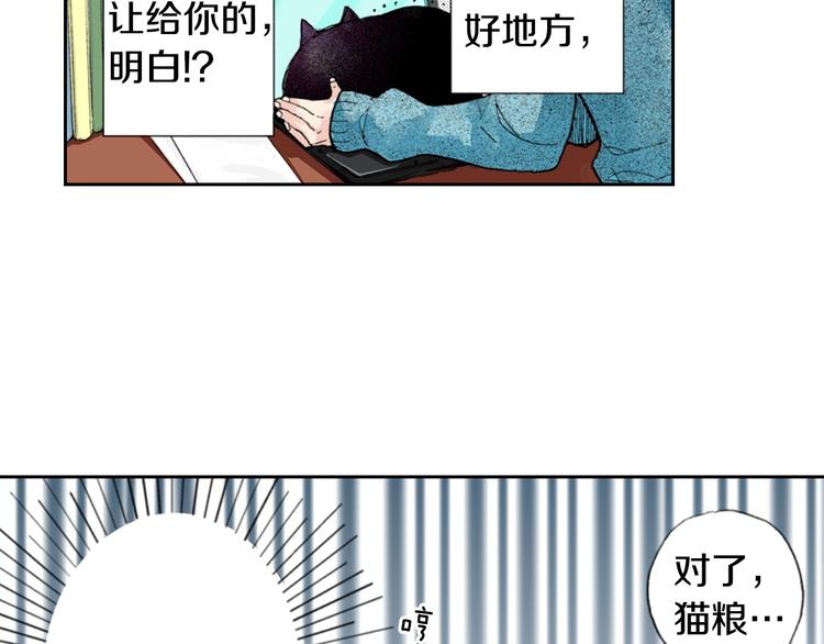 第6话 喵~我要吃饭饭8