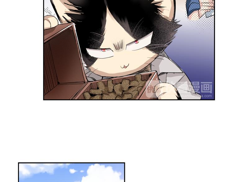 第2话 被猫咪担心了12