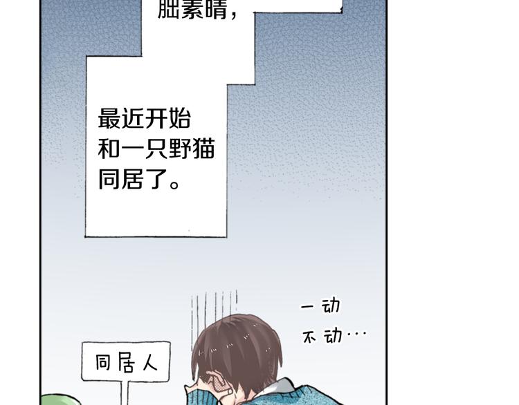 第4话 给猫咪起名13