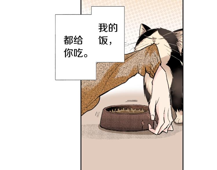第3话 命运的邂逅？53