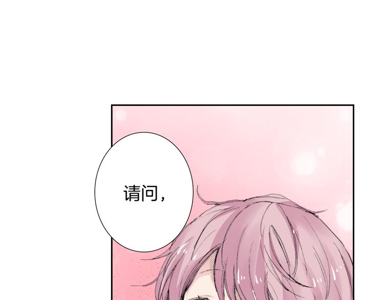 第4话 给猫咪起名40