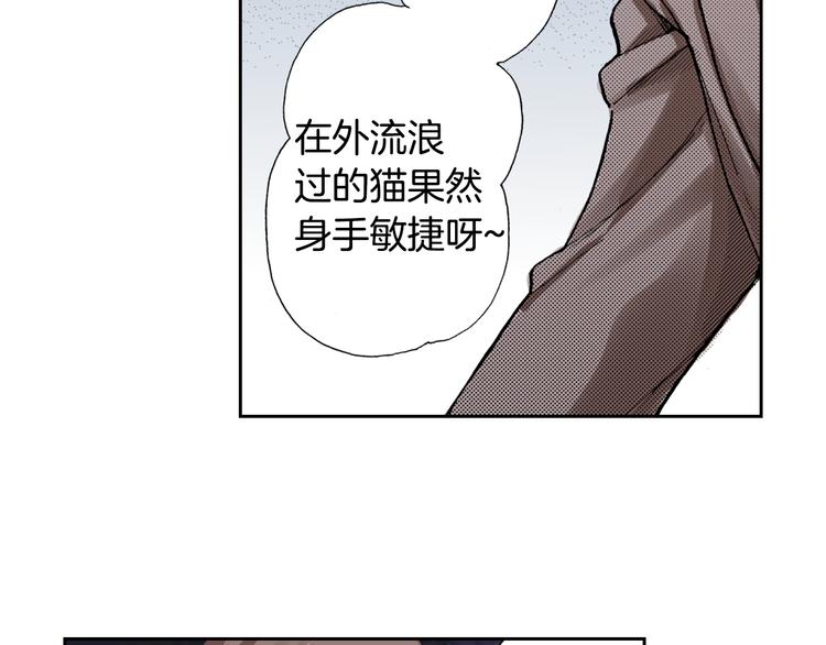 第7话 上门撸猫！36