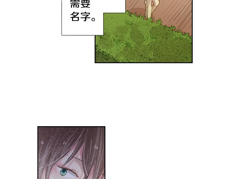 第4话 给猫咪起名85