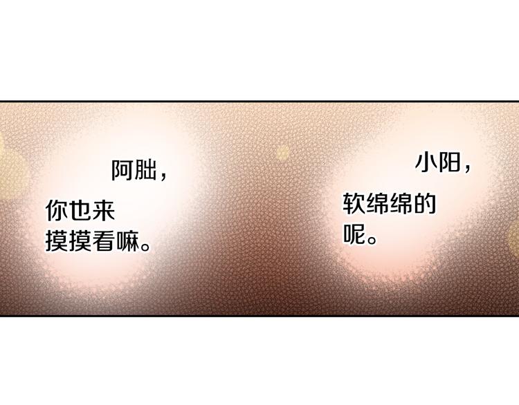 第8话 猫咪摸起来好舒服41