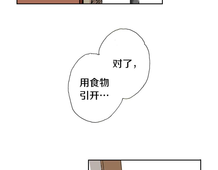 第4话 给猫咪起名15