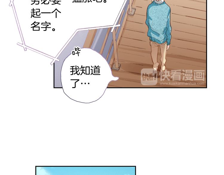 第4话 给猫咪起名81