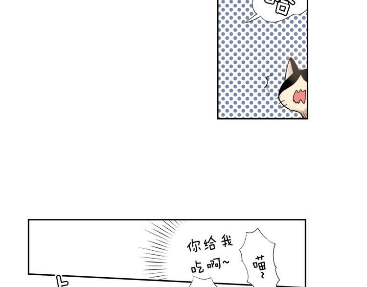 第3话 命运的邂逅？39