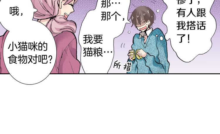 第4话 给猫咪起名39