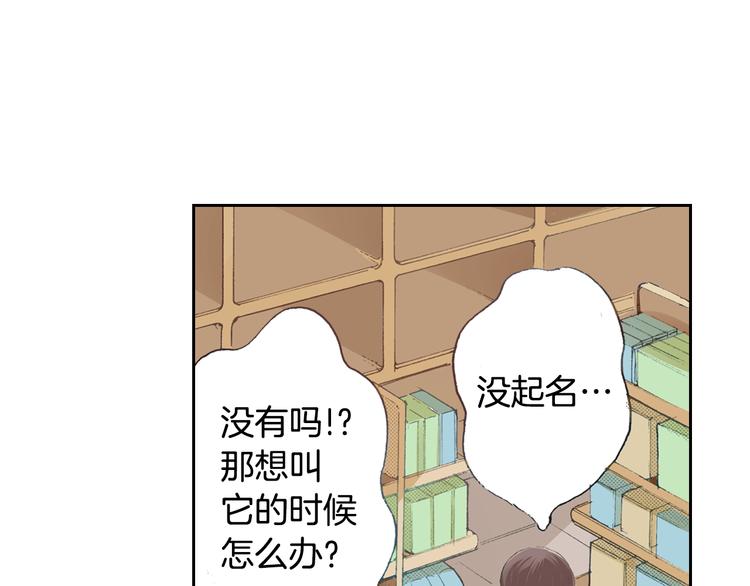 第4话 给猫咪起名62