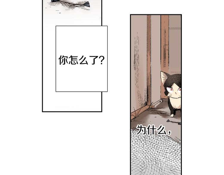 第3话 命运的邂逅？49
