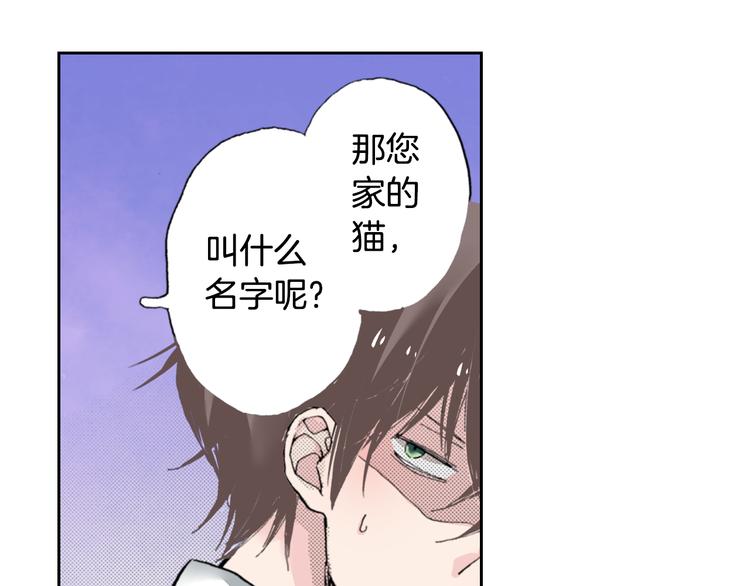 第4话 给猫咪起名60