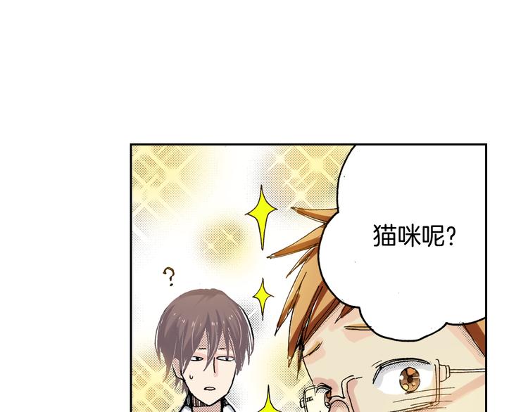 第7话 上门撸猫！18