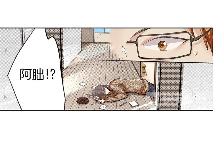 第2话 被猫咪担心了40