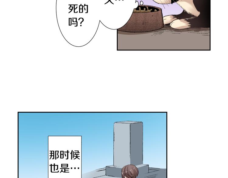 第3话 命运的邂逅？13