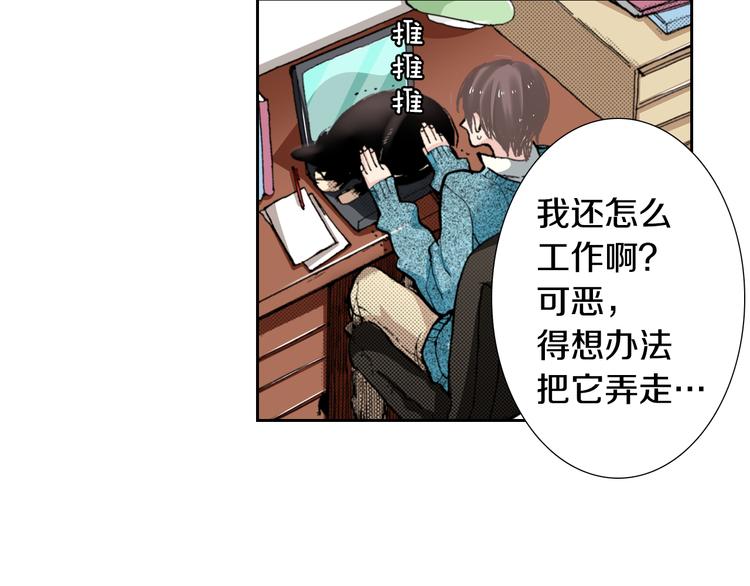 第4话 给猫咪起名10