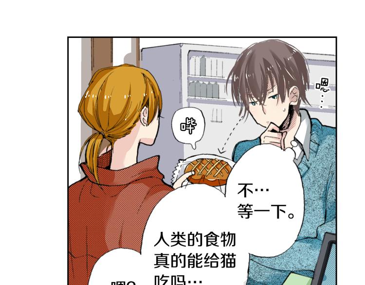 第4话 给猫咪起名31