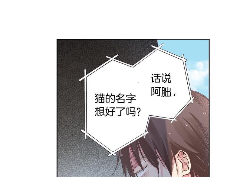 第4话 给猫咪起名74