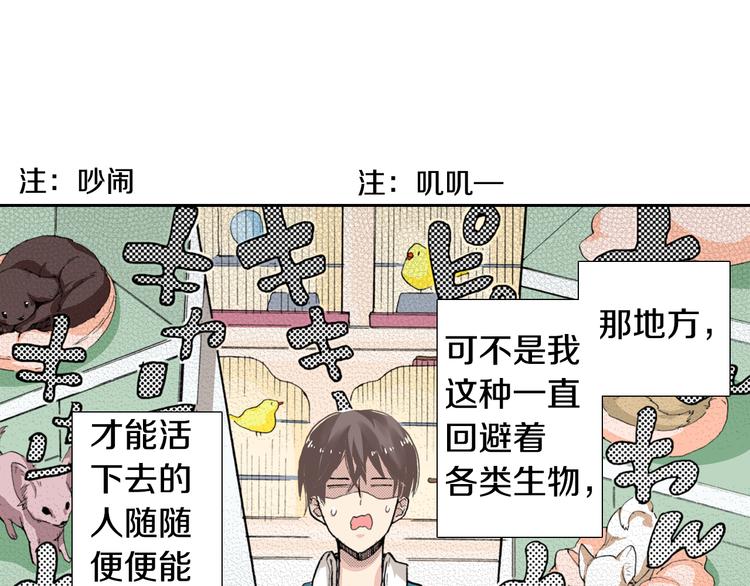 第4话 给猫咪起名35