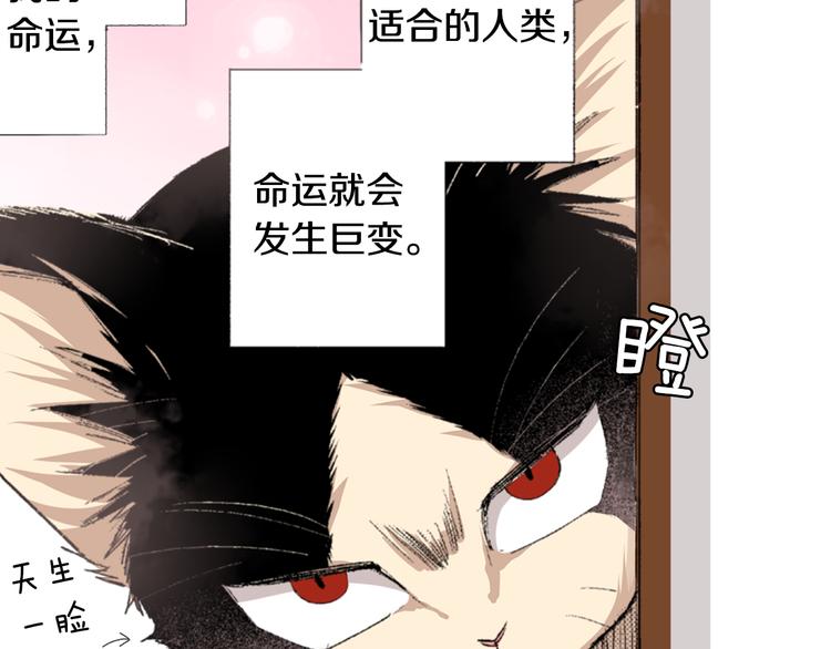 第3话 命运的邂逅？5