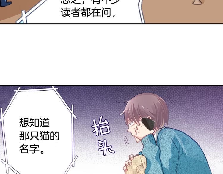 第4话 给猫咪起名79
