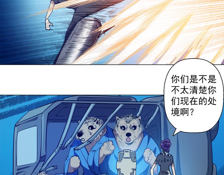 在1000仙石面前，命算什么！53