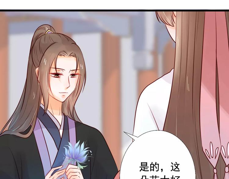 第7话 真心告白12