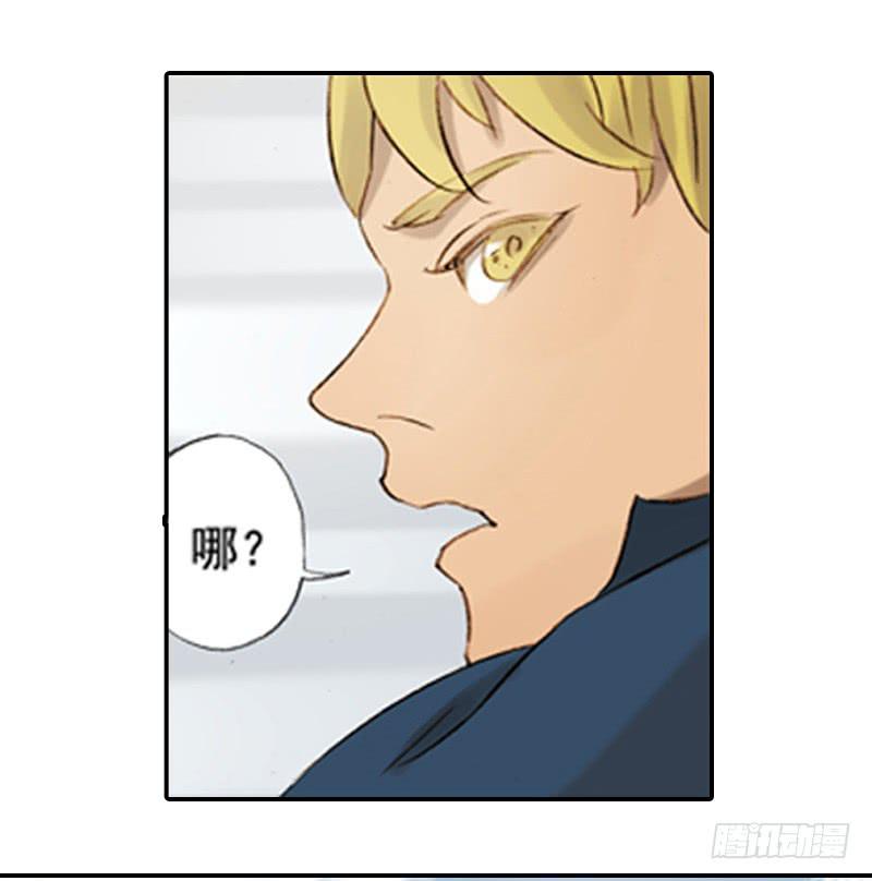 调查46
