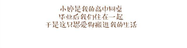 单身狗与恩爱狗日记1
