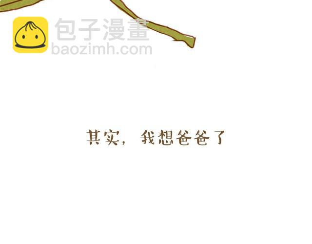 爸爸的粽子17