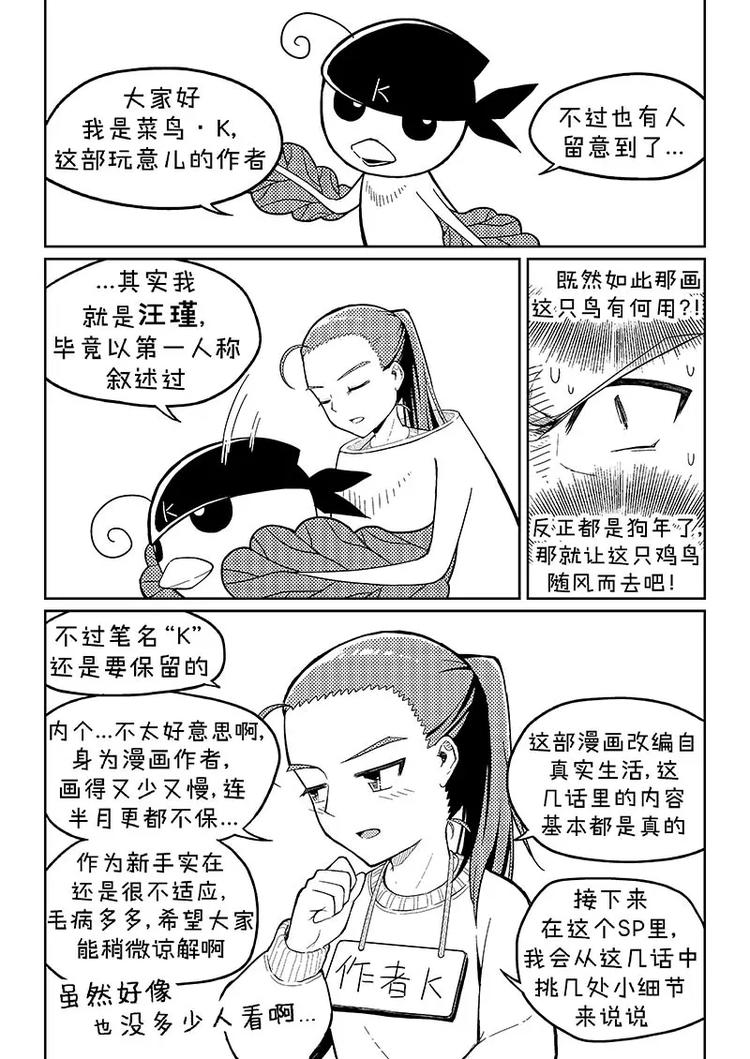 SP 迎春碎碎念1