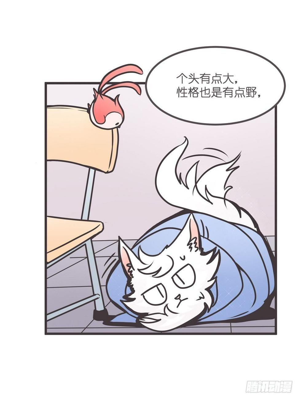 ACT003 决心15