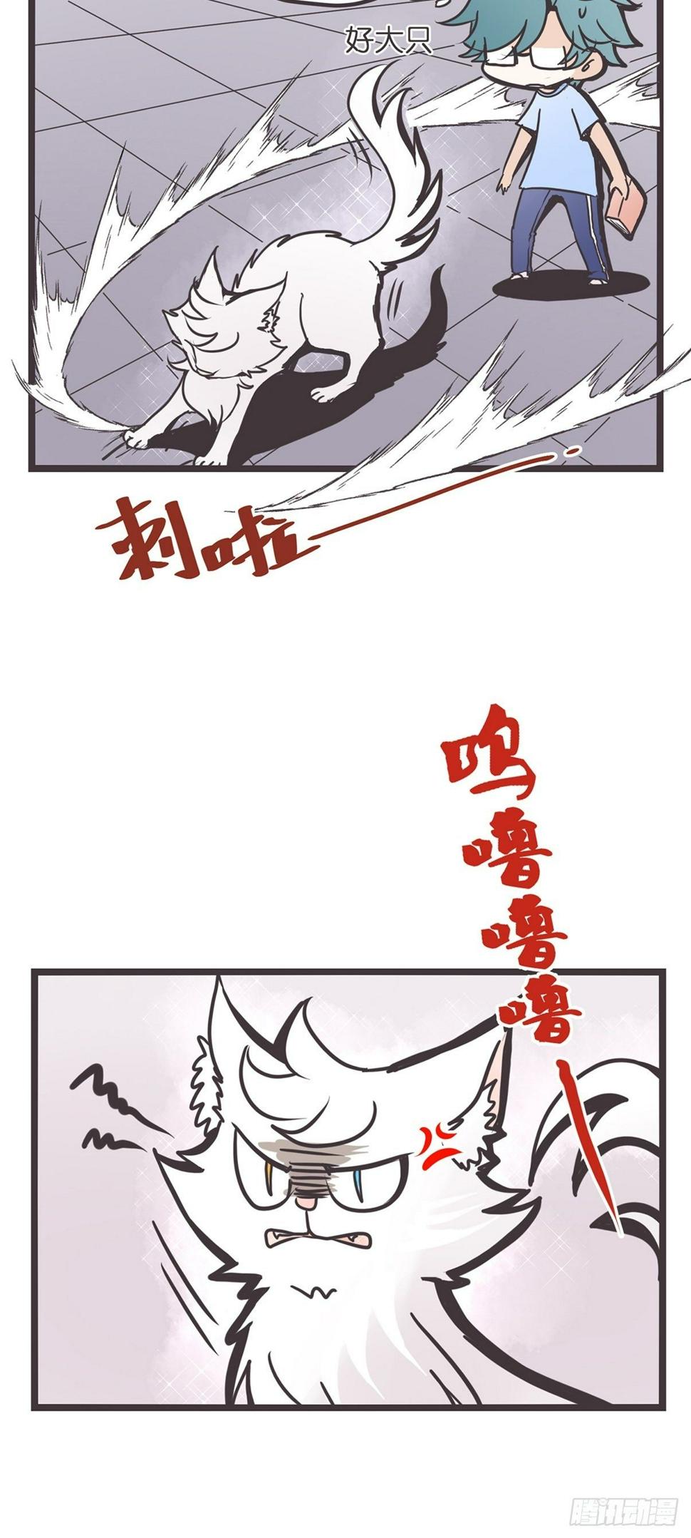 ACT002 两妖相争 ?者胜3