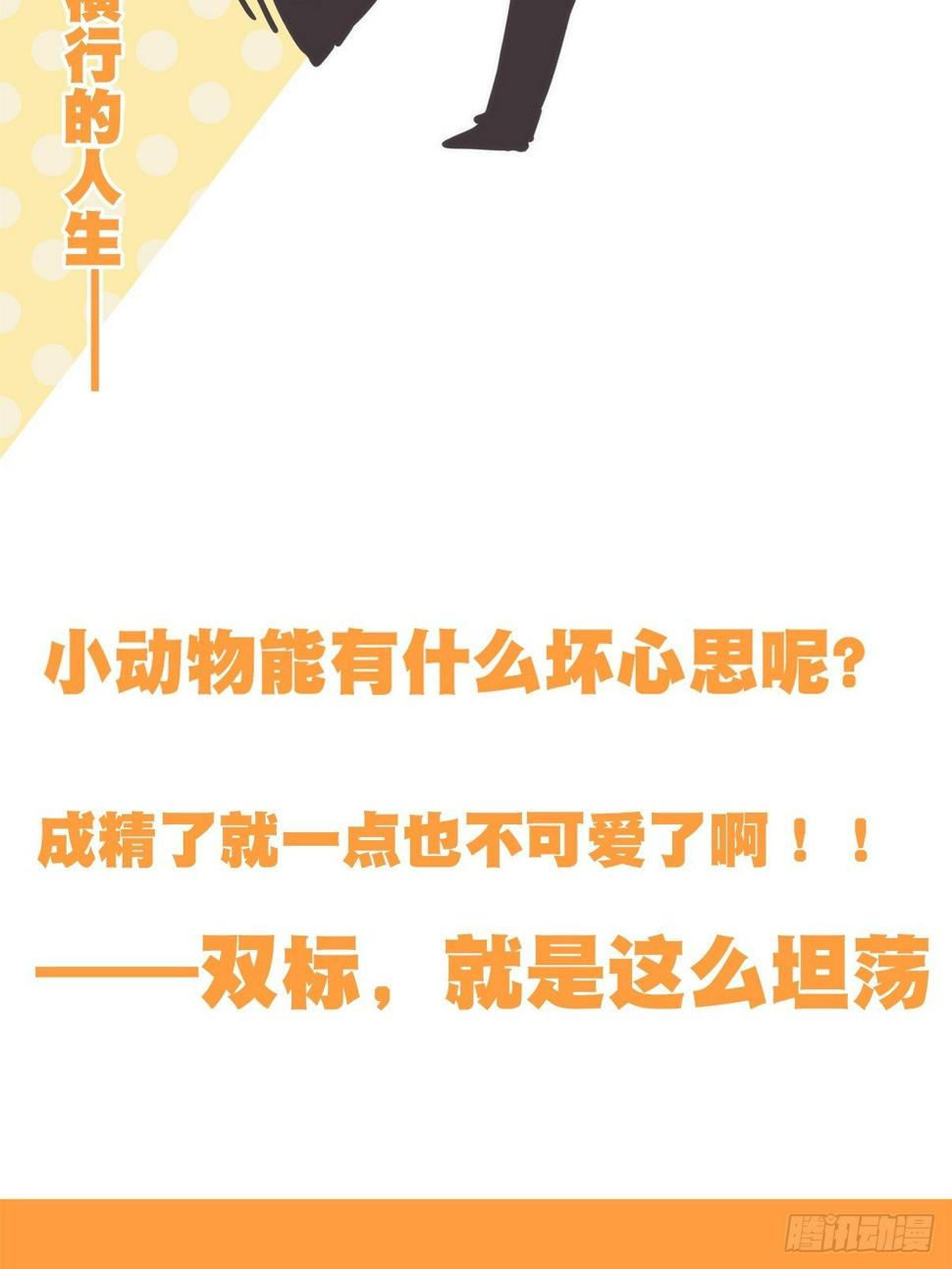 放料2-我们的主角是——1