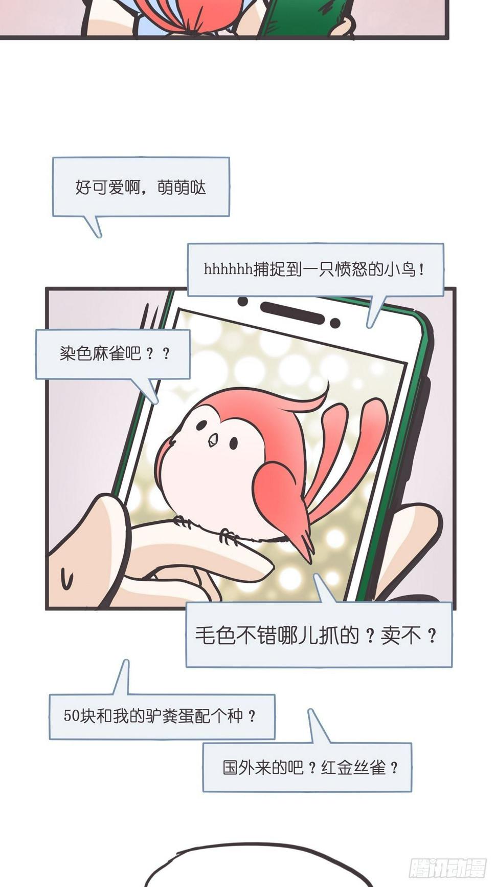 ACT003 决心5