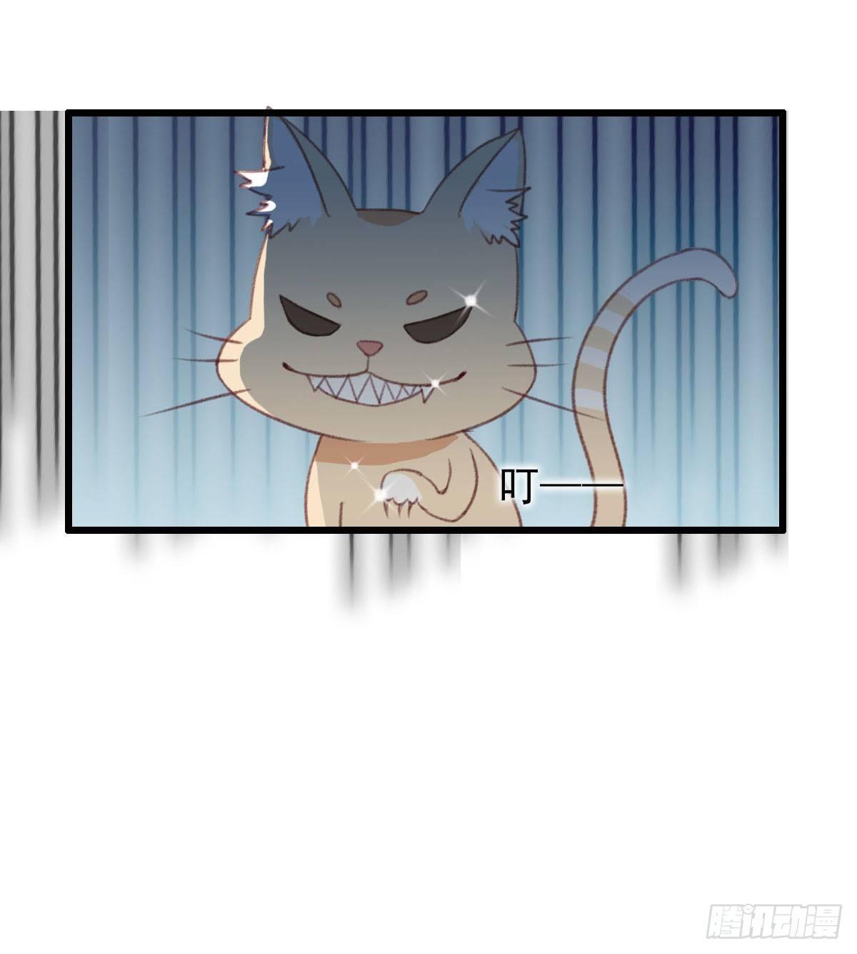 第11话6